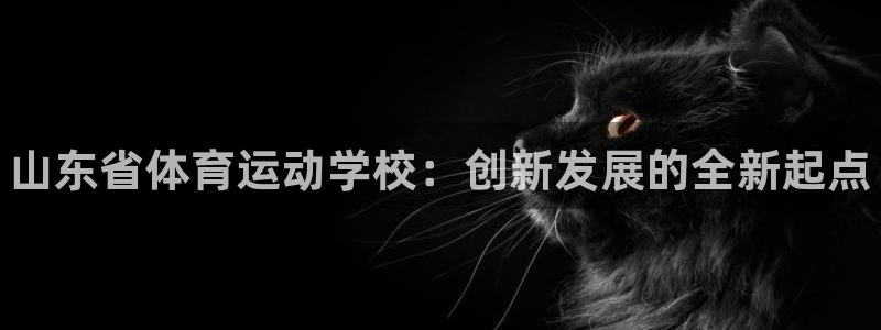 一竞技官网下载官方客服电话：山东省体育运动学校：创新