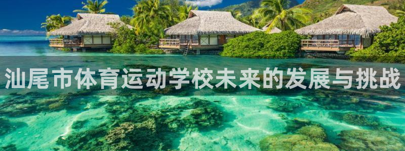 一竞技官方正版app新能源：汕尾市体育运动学校未来的