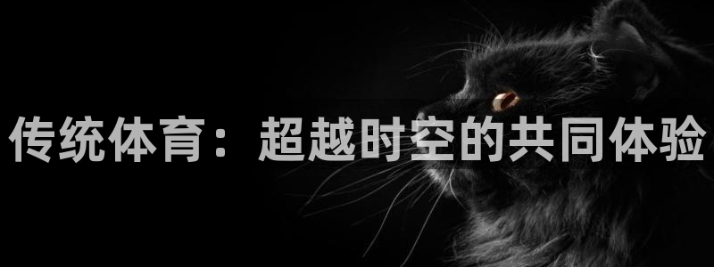 一竞技官网下载招商电话是多少：传统体育：超越时空的共