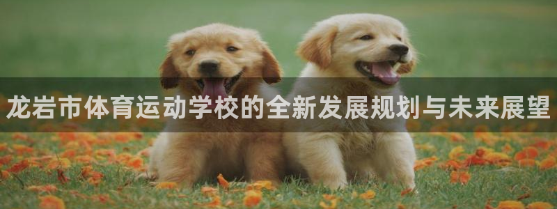 一竞技官网下载招商电话号码：龙岩市体育运动学校的全新