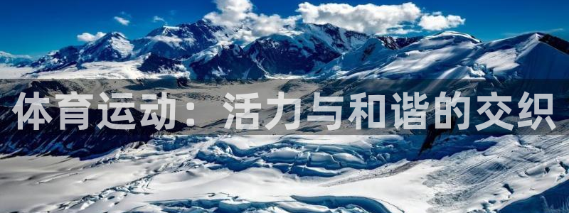 一竞技官方正版app娱乐首页网站大全：体育运动：活力