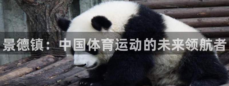 一竞技官网下载是干嘛的公司
