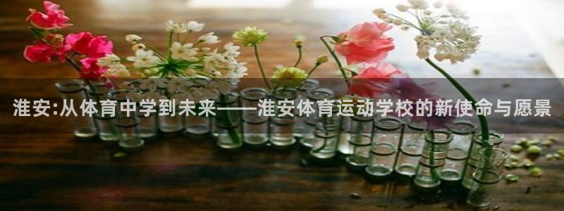 一竞技官方正版app娱乐平台