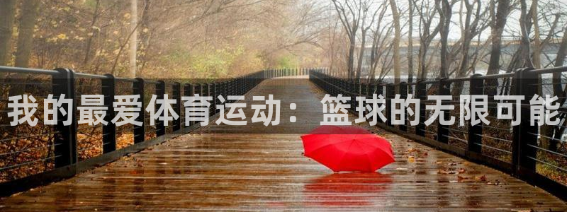 一竞技官方正版app开户：我的最爱体育运动：篮球的无限可能