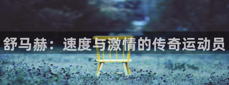 一竞技官方集团官网