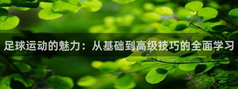 一竞技官网下载平台APP：足球运动的魅力：从基础到高级技巧的