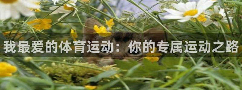 一竞技官网下载平台注册要钱吗是真的吗：我最爱的体育运