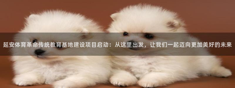 一竞技官方正版app娱乐下载：延安体育革命传统教育基地建设项