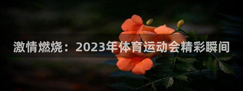 一竞技官网入口登录：激情燃烧：202
