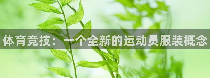 一竞技测速：体育竞技：一个全新的运动
