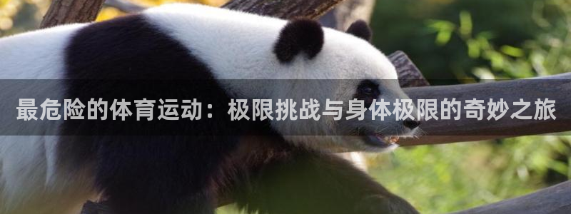 一竞技平台登录入口：最危险的体育运动