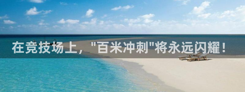 一竞技平台是正规软件吗：在竞技场上，