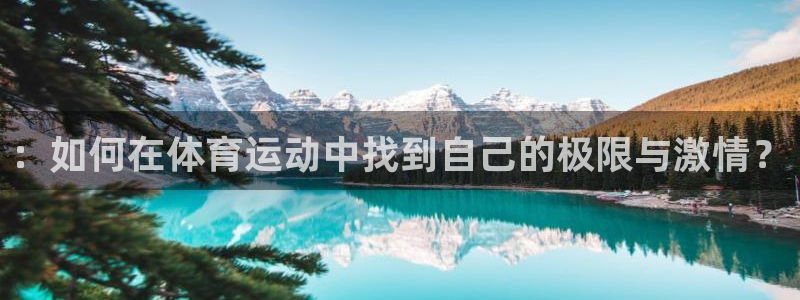 一竞技app：：如何在体育运动中找到