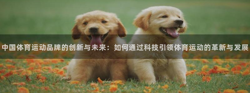  一竞技官网登录入口：中国体育运动品牌的创新与未来：如何通过科