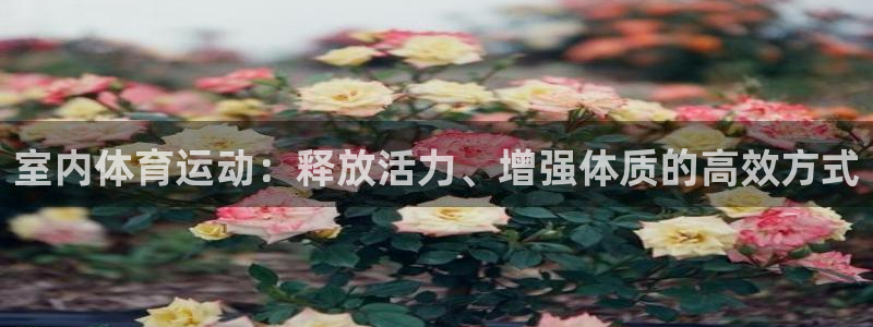  一竞技官网 - 从一开始 竞无止境：室内体育运动：释放活力、