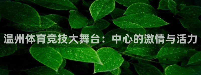 一竞技注册：温州体育竞技大舞台：中心
