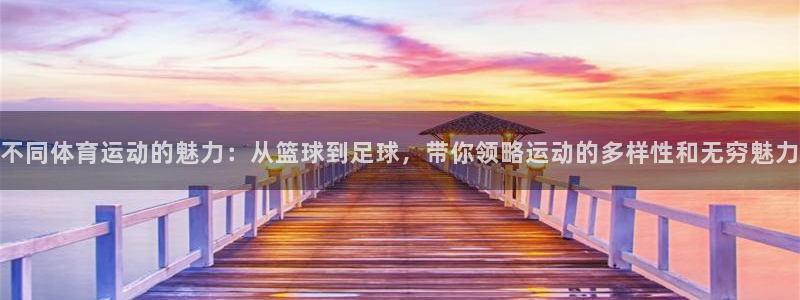 一竞技官网测速入口登录：不同体育运动