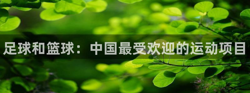 一竞技入口官网首页：足球和篮球：中国