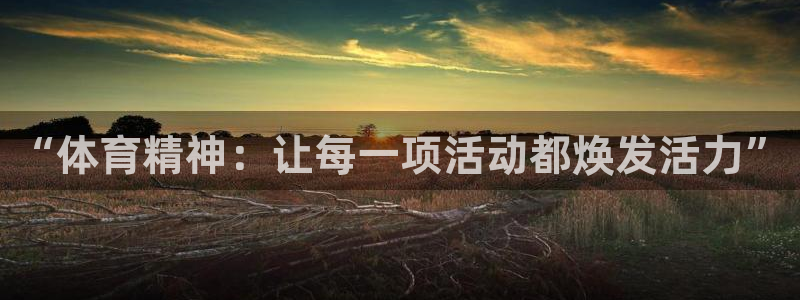 一竞技one卡：“体育精神：让每一项