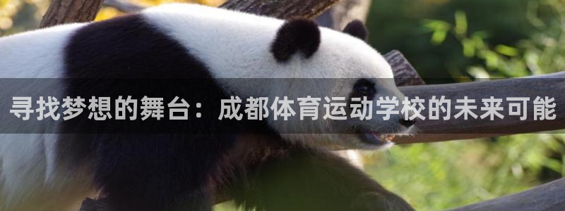 一竞技体育官网：寻找梦想的舞台：成都