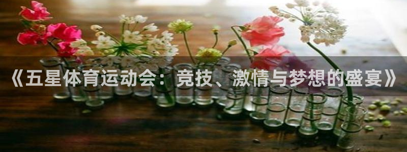  一竞技app：《五星体育运动会：竞技、激情与梦想的盛宴》