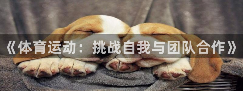 一竞技平台怎么样：《体育运动：挑战自