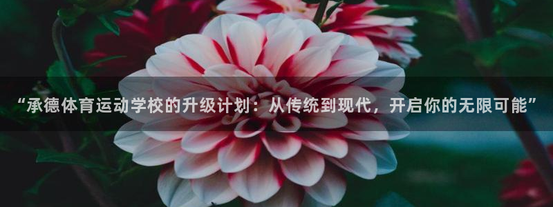  一竞技one卡安不安全：“承德体育运动学校的升级计划：从传统