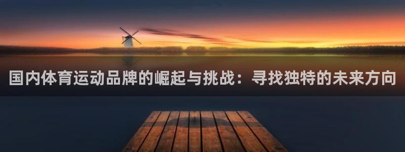  一竞技官网登录方式：国内体育运动品牌的崛起与挑战：寻找独特的