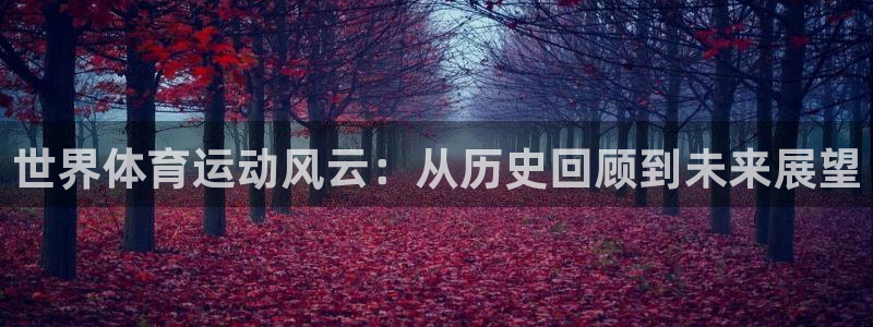 德国一竞技官方正版app集团：世界体育运动风云：从历史回顾到