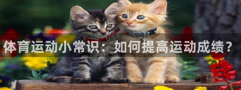 一竞技官网下载招商电话号码：体育运动小常识：如何提高运动成绩