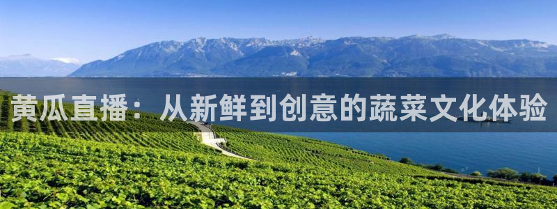 直播吧jrs直播吧：黄瓜直播：从新鲜到创意的蔬菜文化体验