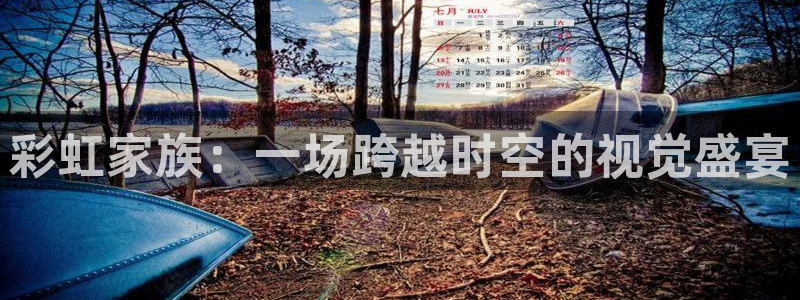 178直播吧体育：彩虹家族：一场跨越时空的视觉盛宴