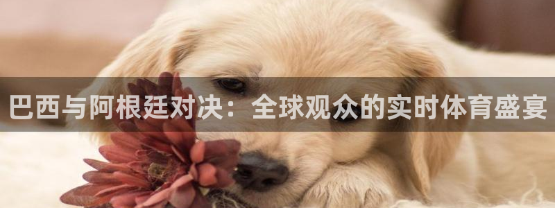 足球直播吧无插件直播：巴西与阿根廷对决：全球观众的实时体育盛宴