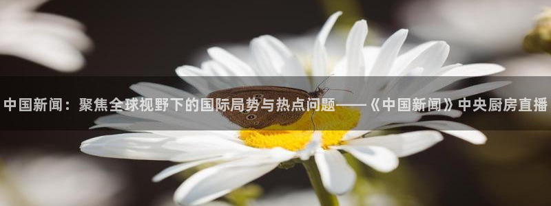 玩球直播吧：中国新闻：聚焦全球视野下的国际局势与热点问题——《中国新闻》中央厨房直播