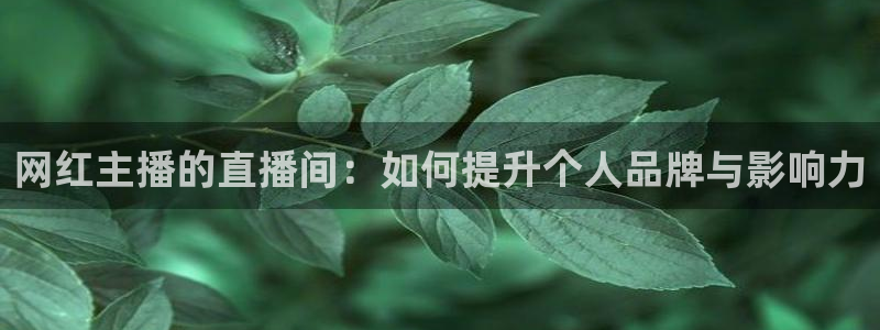 搜球直播吧：网红主播的直播间：如何提升个人品牌与影响力