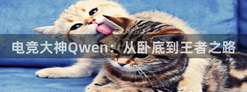 nba直播极速体育直播吧触屏版：电竞大神Qwen：从卧底到王者之路