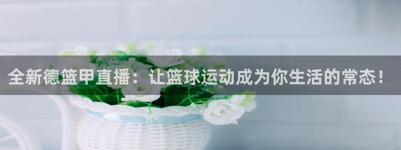 乐球吧直播吧nba：全新德篮甲直播：让篮球运动成为你生活的常态！
