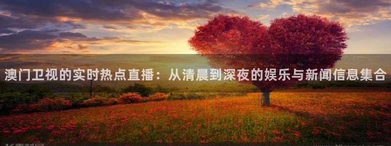 310直播吧nba直播：澳门卫视的实时热点直播：从清晨到深夜的娱乐与新闻信息集合